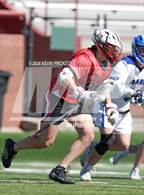 Photo from the gallery "Castle View @ Highlands Ranch"