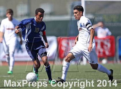 Thumbnail 2 in Vistamar @ Nordhoff (CIF SS D7 Final) photogallery.