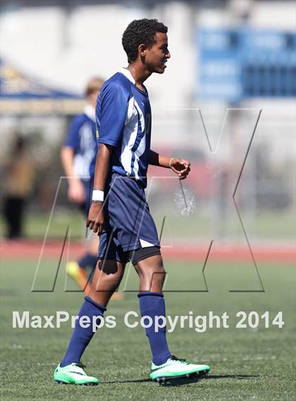 Thumbnail 3 in Vistamar @ Nordhoff (CIF SS D7 Final) photogallery.