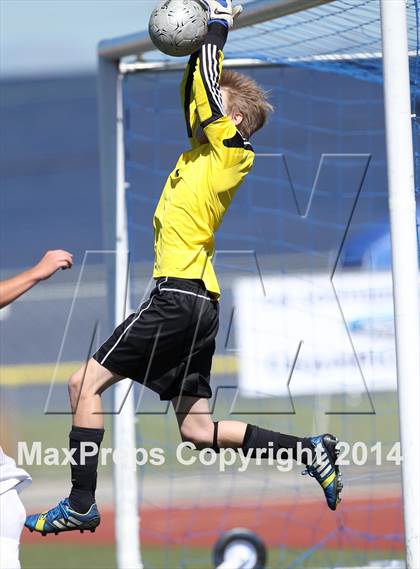 Thumbnail 1 in Vistamar @ Nordhoff (CIF SS D7 Final) photogallery.