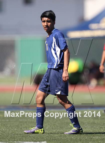 Thumbnail 3 in Vistamar @ Nordhoff (CIF SS D7 Final) photogallery.