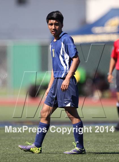 Thumbnail 2 in Vistamar @ Nordhoff (CIF SS D7 Final) photogallery.