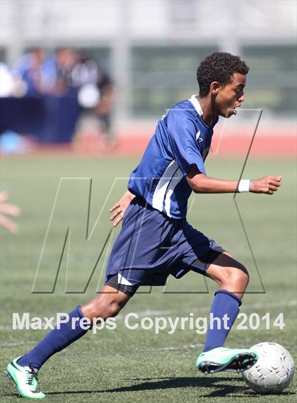 Thumbnail 1 in Vistamar @ Nordhoff (CIF SS D7 Final) photogallery.