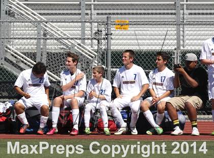 Thumbnail 1 in Vistamar @ Nordhoff (CIF SS D7 Final) photogallery.