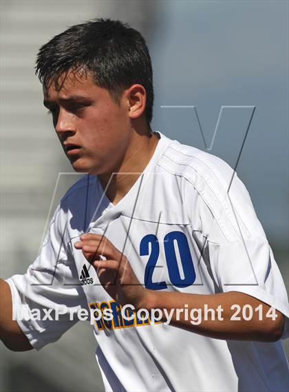 Thumbnail 1 in Vistamar @ Nordhoff (CIF SS D7 Final) photogallery.