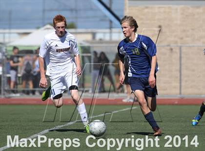 Thumbnail 2 in Vistamar @ Nordhoff (CIF SS D7 Final) photogallery.
