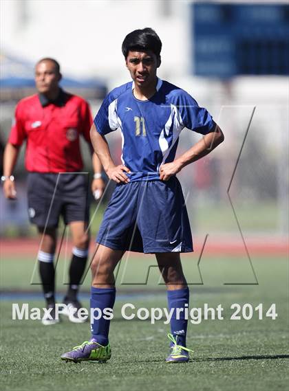 Thumbnail 1 in Vistamar @ Nordhoff (CIF SS D7 Final) photogallery.
