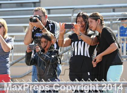 Thumbnail 3 in Vistamar @ Nordhoff (CIF SS D7 Final) photogallery.