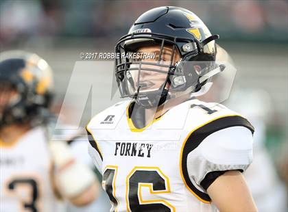 Thumbnail 2 in Forney @ Poteet photogallery.