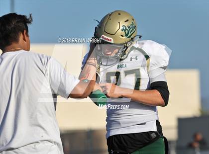 Thumbnail 1 in Brea Olinda @ El Dorado photogallery.