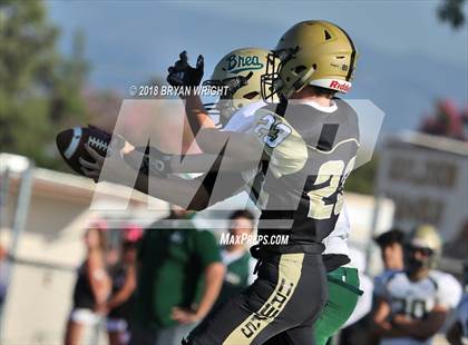 Thumbnail 3 in Brea Olinda @ El Dorado photogallery.