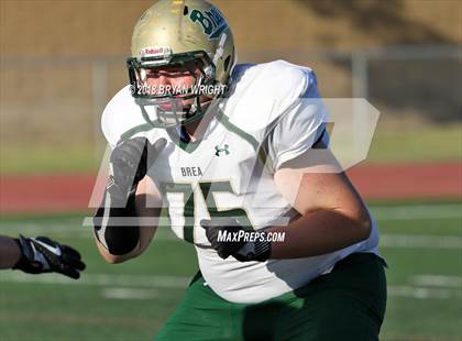 Thumbnail 2 in Brea Olinda @ El Dorado photogallery.
