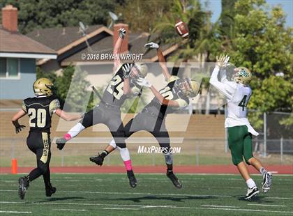 Thumbnail 2 in Brea Olinda @ El Dorado photogallery.