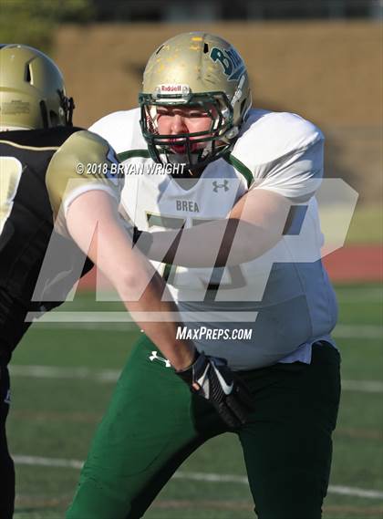 Thumbnail 3 in Brea Olinda @ El Dorado photogallery.