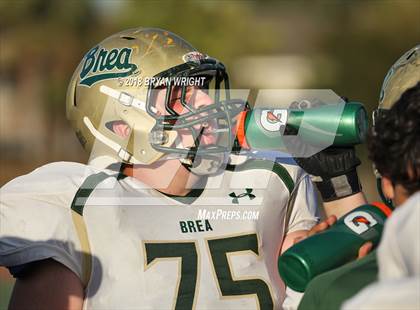 Thumbnail 1 in Brea Olinda @ El Dorado photogallery.
