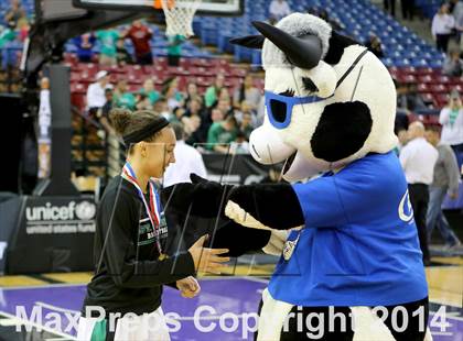 Thumbnail 1 in St. Mary's vs Oak Ridge (CIF SJS D1 Final) photogallery.