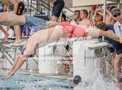 Thumbnail 1 in AIA D2 Swimming Championships (Boys) photogallery.