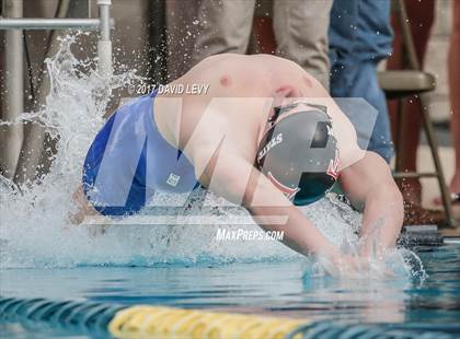 Thumbnail 3 in AIA D2 Swimming Championships (Boys) photogallery.