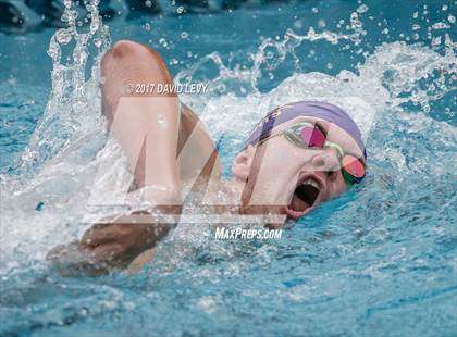 Thumbnail 2 in AIA D2 Swimming Championships (Boys) photogallery.