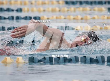 Thumbnail 2 in AIA D2 Swimming Championships (Boys) photogallery.