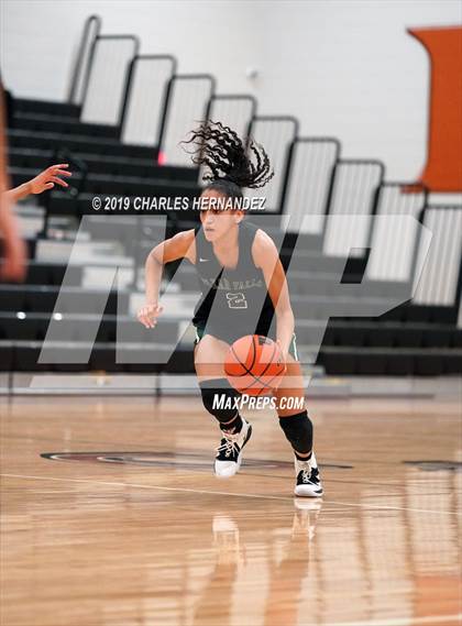 Thumbnail 2 in Clear Falls vs. Lake Ridge (McDonald's Texas Invitational) photogallery.