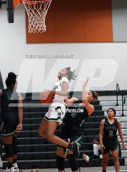 Thumbnail 1 in Clear Falls vs. Lake Ridge (McDonald's Texas Invitational) photogallery.