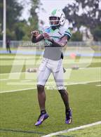 Photo from the gallery "Newsome @ Sumner"
