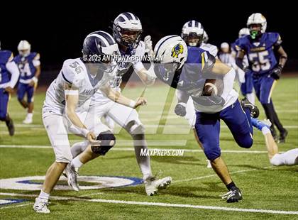 Thumbnail 1 in Amador @ Rosemont photogallery.