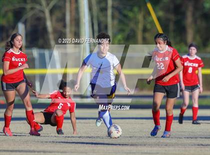 Thumbnail 1 in Cape Fear @ Hoke County photogallery.