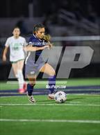 Photo from the gallery "St. Joseph @ Notre Dame (SO)"