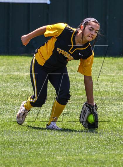 Thumbnail 2 in Forney @ Rockwall photogallery.