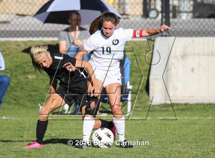 Thumbnail 1 in JV: Hillcrest @ Olympus photogallery.