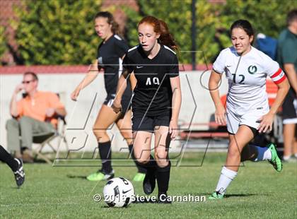 Thumbnail 1 in JV: Hillcrest @ Olympus photogallery.