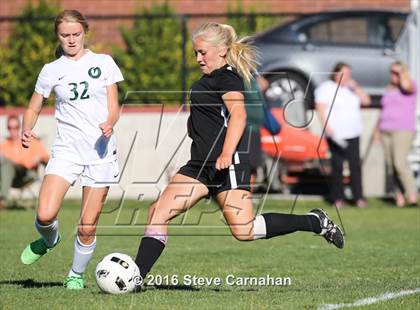 Thumbnail 2 in JV: Hillcrest @ Olympus photogallery.