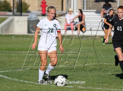Thumbnail 1 in JV: Hillcrest @ Olympus photogallery.