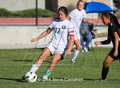 Thumbnail 3 in JV: Hillcrest @ Olympus photogallery.