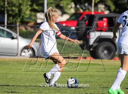 Thumbnail 2 in JV: Hillcrest @ Olympus photogallery.