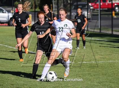 Thumbnail 1 in JV: Hillcrest @ Olympus photogallery.