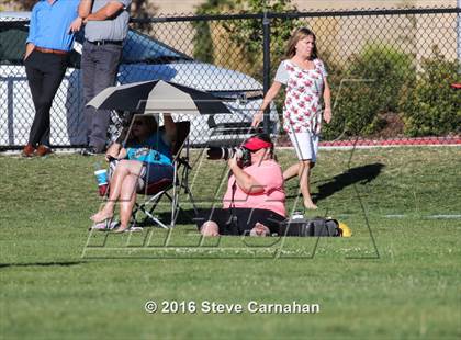 Thumbnail 1 in JV: Hillcrest @ Olympus photogallery.