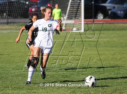 Thumbnail 1 in JV: Hillcrest @ Olympus photogallery.