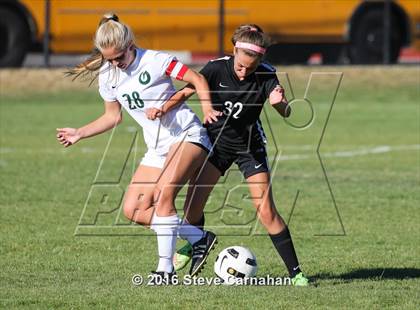 Thumbnail 3 in JV: Hillcrest @ Olympus photogallery.