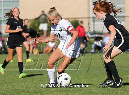 Thumbnail 1 in JV: Hillcrest @ Olympus photogallery.