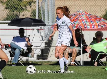 Thumbnail 2 in JV: Hillcrest @ Olympus photogallery.
