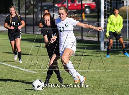 Thumbnail 3 in JV: Hillcrest @ Olympus photogallery.