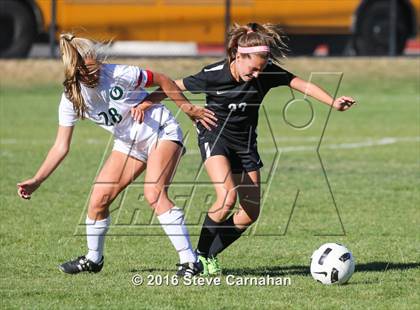 Thumbnail 3 in JV: Hillcrest @ Olympus photogallery.