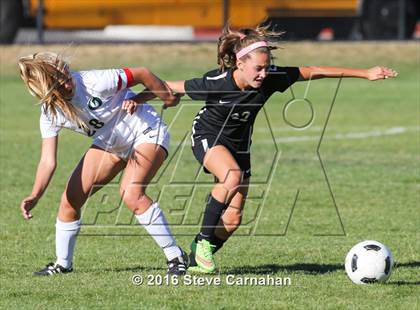 Thumbnail 1 in JV: Hillcrest @ Olympus photogallery.