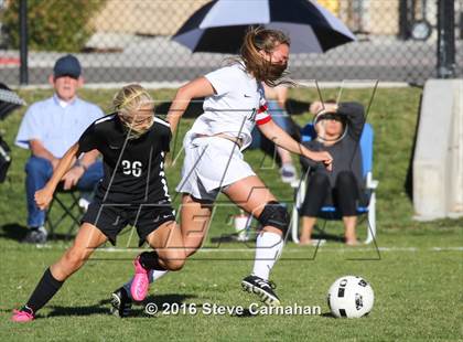Thumbnail 3 in JV: Hillcrest @ Olympus photogallery.