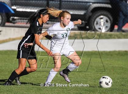 Thumbnail 2 in JV: Hillcrest @ Olympus photogallery.
