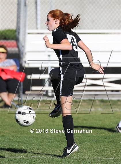 Thumbnail 1 in JV: Hillcrest @ Olympus photogallery.