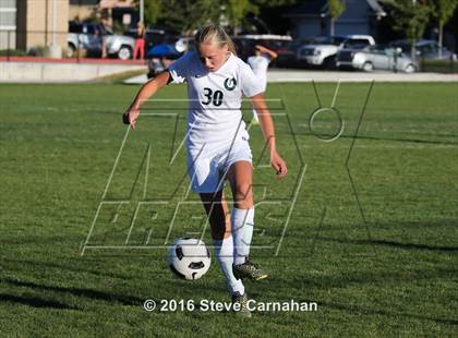 Thumbnail 1 in JV: Hillcrest @ Olympus photogallery.